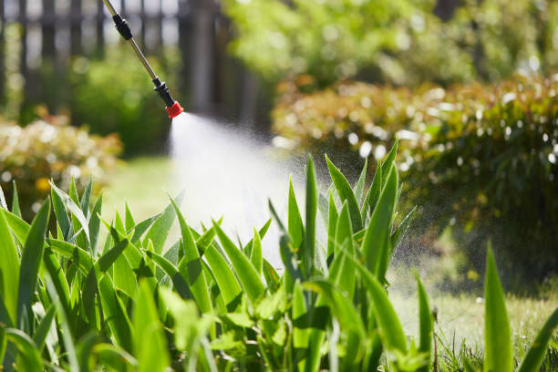 24/7 Emergency Wasp Removal experts in Hannibal, MO