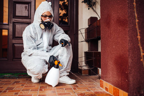 Reliable Wasp Removal contractor in Hannibal, MO by Show Me Pest Control