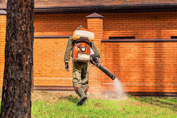 Top rated local Wasp Removal specialists in Hannibal, MO